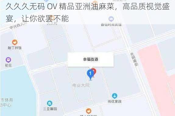 久久久无码 OV 精品亚洲油麻菜，高品质视觉盛宴，让你欲罢不能