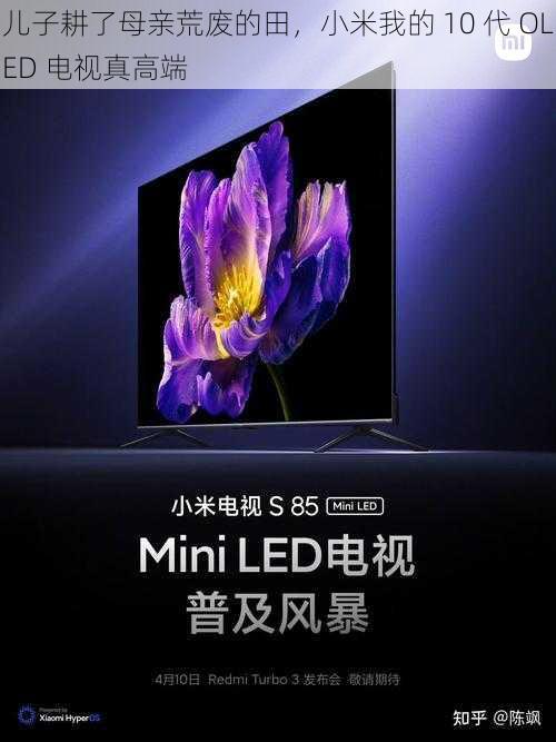 儿子耕了母亲荒废的田，小米我的 10 代 OLED 电视真高端