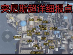 使命召唤手游：非洲小镇突尼斯地图——特色解析与策略指南