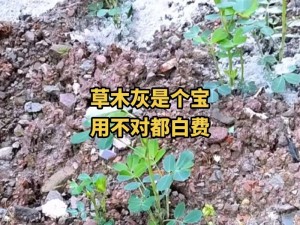 元气骑士奇异花种植攻略：掌握碎片花固定颜色种植技巧，轻松成为种植达人