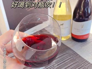 醉舞人生：酒韵之歌与几何之图的交响