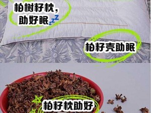 如何将自己变成喷泉夹枕头——介绍一款具有特色的枕头