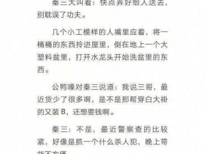 《雨夜屠夫安装与配置指南：详细步骤及实用说明》