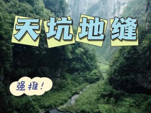 史小坑爆笑生活第15关攻略：神奇女生关卡挑战详解