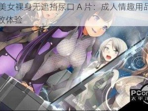 18禁美女裸身无遮挡尿口 A 片：成人情趣用品，带来极致体验