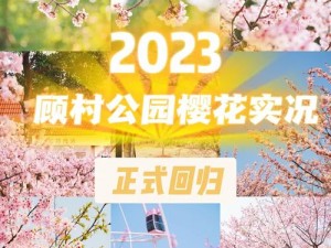 樱花官网官方进入版网址 2023，带你走进樱花的世界，感受日化的独特魅力