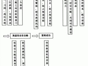 海盗袭击下的防御困境：攻击与锁定的应对策略及解决办法介绍