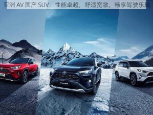 亚洲 AV 国产 SUV：性能卓越，舒适宽敞，畅享驾驶乐趣