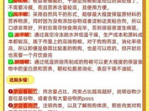 锁链战记狗粮使用指南：五星狗粮获取与高效利用攻略