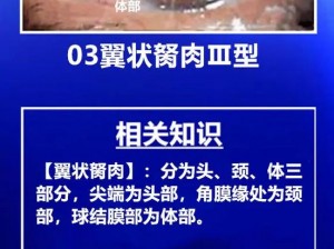 超级胬肉系统——创新技术，专业治疗翼状胬肉