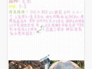 1V3 多肉多车高校生活的玩视频，解锁更多精彩内容