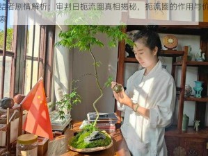 终结者剧情解析：审判日扼流圈真相揭秘，扼流圈的作用与价值探索