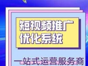 SEO 短视频网页入口网站推广：让您的网站更具吸引力，提升流量和排名