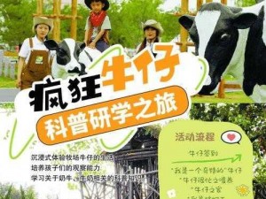 牧场气息：操作解析与深度体验的探索之旅