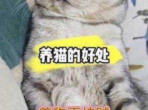 新版猫社区官方——分享生活点滴，发现更多精彩