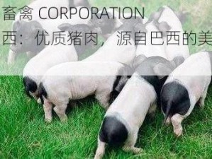 人马畜禽 CORPORATION 猪巴西：优质猪肉，源自巴西的美味享受