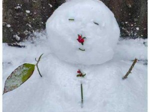 雪人灵动舞姿：探索雪人舞蹈中的雪人动作美学