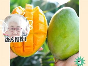 香甜多汁、口感细腻的国产四线区芒果，富含维生素 C 和膳食纤维，是您健康生活的好选择