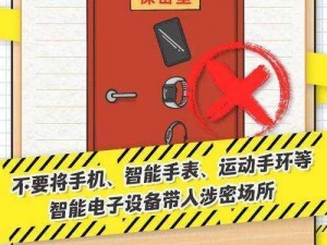 揭秘秘密入口 MINI6 的安全保护：专业防护，安全无忧