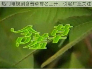 热门电视剧含羞草排名上升，引起广泛关注