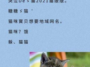 猫咪成熟最新地域网名怎么取？只需 3 步，轻松取到满意的网名