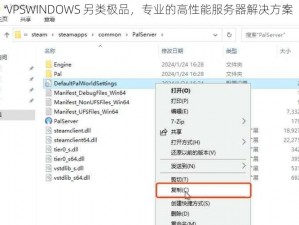 VPSWINDOWS 另类极品，专业的高性能服务器解决方案