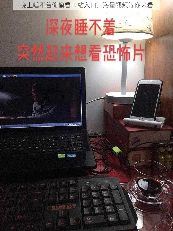 晚上睡不着偷偷看 B 站入口，海量视频等你来看