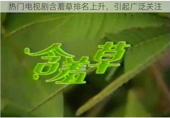 热门电视剧含羞草排名上升，引起广泛关注