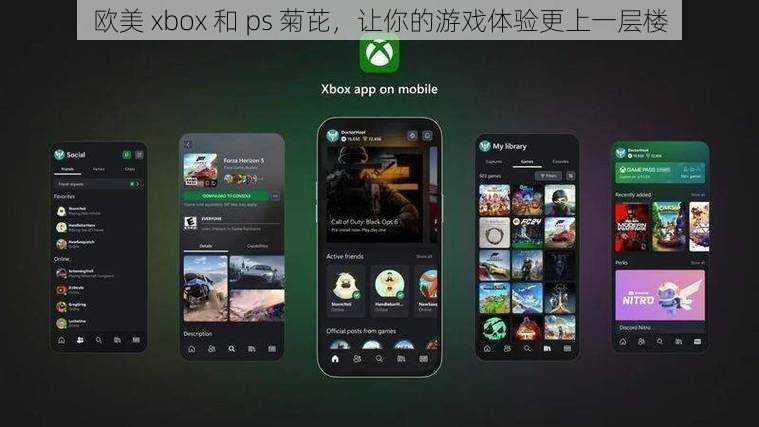 欧美 xbox 和 ps 菊芘，让你的游戏体验更上一层楼