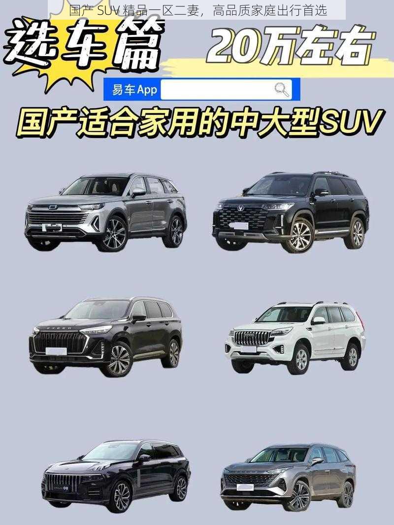 国产 SUV 精品一区二妻，高品质家庭出行首选