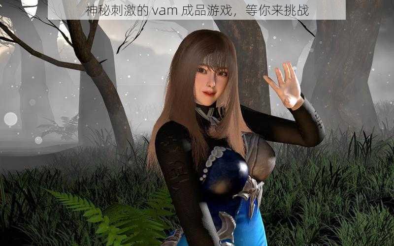 神秘刺激的 vam 成品游戏，等你来挑战