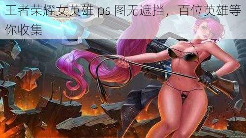 王者荣耀女英雄 ps 图无遮挡，百位英雄等你收集