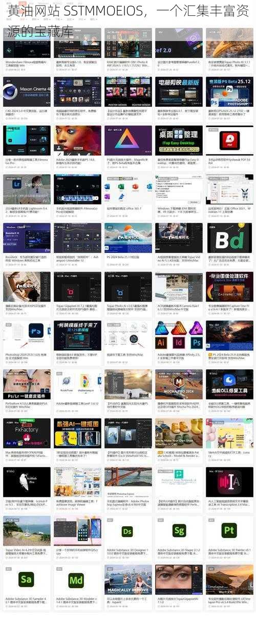 黄油网站 SSTMMOEIOS，一个汇集丰富资源的宝藏库