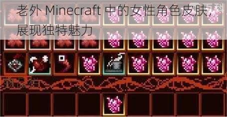 老外 Minecraft 中的女性角色皮肤，展现独特魅力