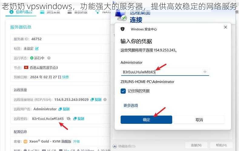 老奶奶 vpswindows，功能强大的服务器，提供高效稳定的网络服务