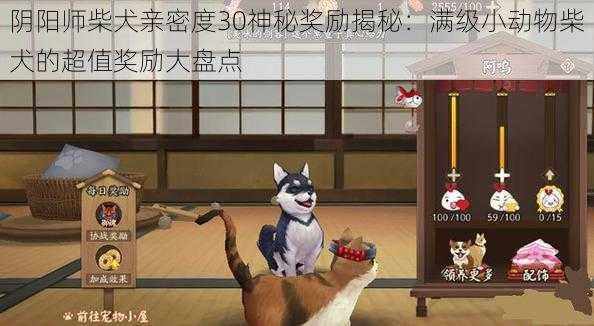 阴阳师柴犬亲密度30神秘奖励揭秘：满级小动物柴犬的超值奖励大盘点