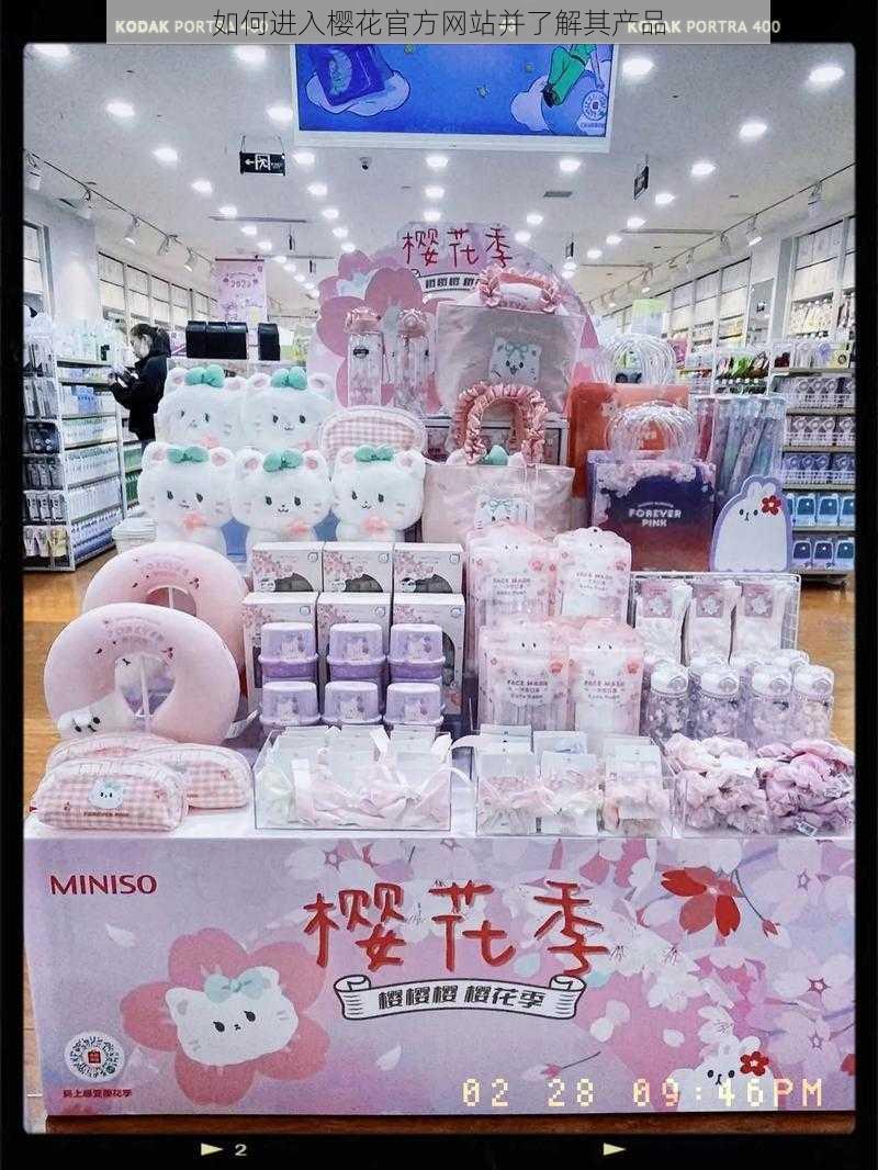 如何进入樱花官方网站并了解其产品