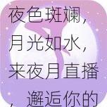 夜色斑斓，月光如水，来夜月直播，邂逅你的心动主播