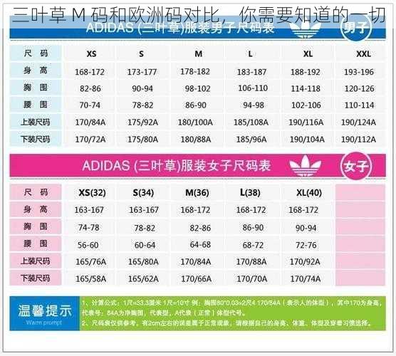 三叶草 M 码和欧洲码对比，你需要知道的一切