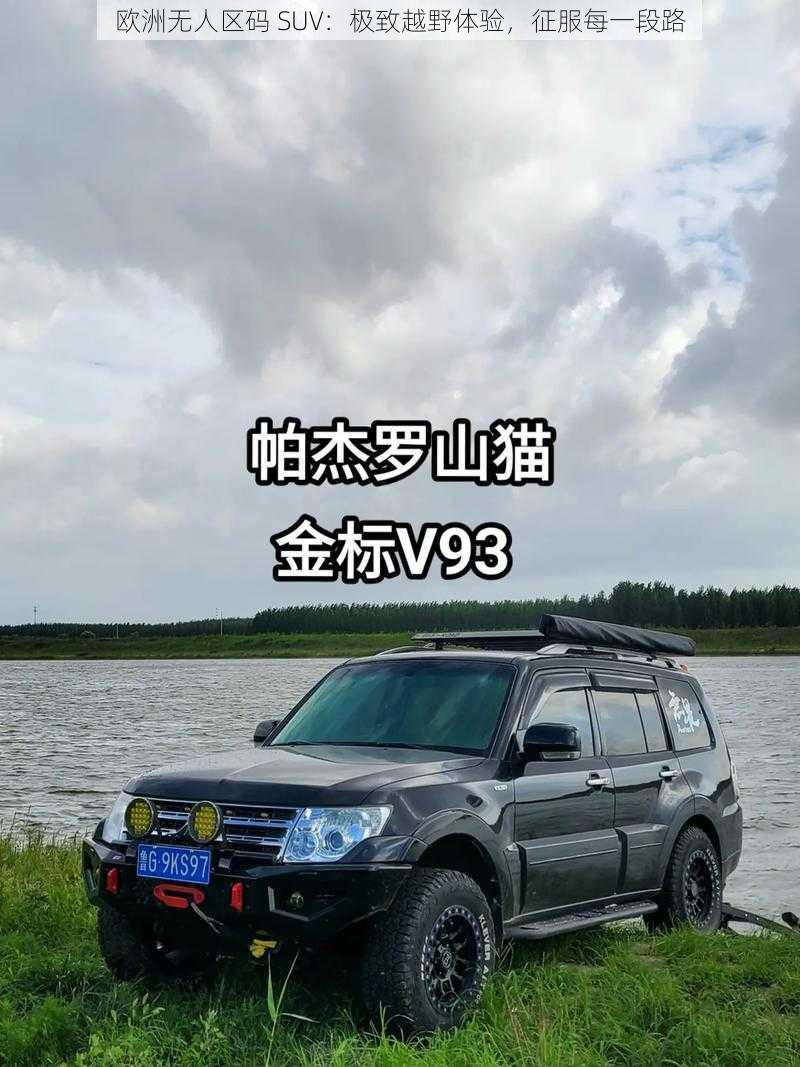 欧洲无人区码 SUV：极致越野体验，征服每一段路