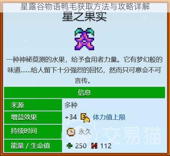 星露谷物语鸭毛获取方法与攻略详解