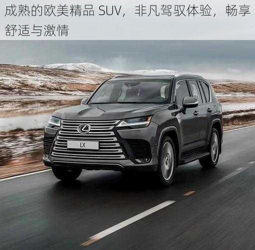 成熟的欧美精品 SUV，非凡驾驭体验，畅享舒适与激情