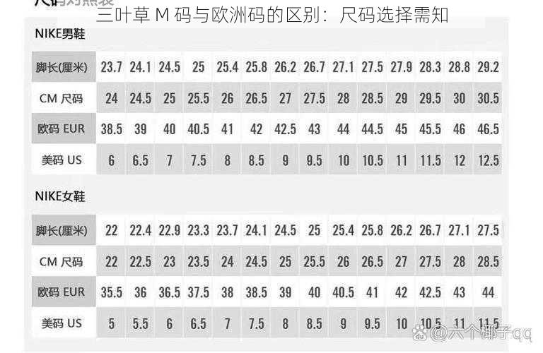 三叶草 M 码与欧洲码的区别：尺码选择需知