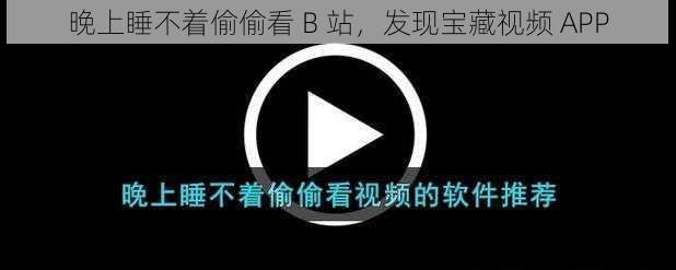 晚上睡不着偷偷看 B 站，发现宝藏视频 APP