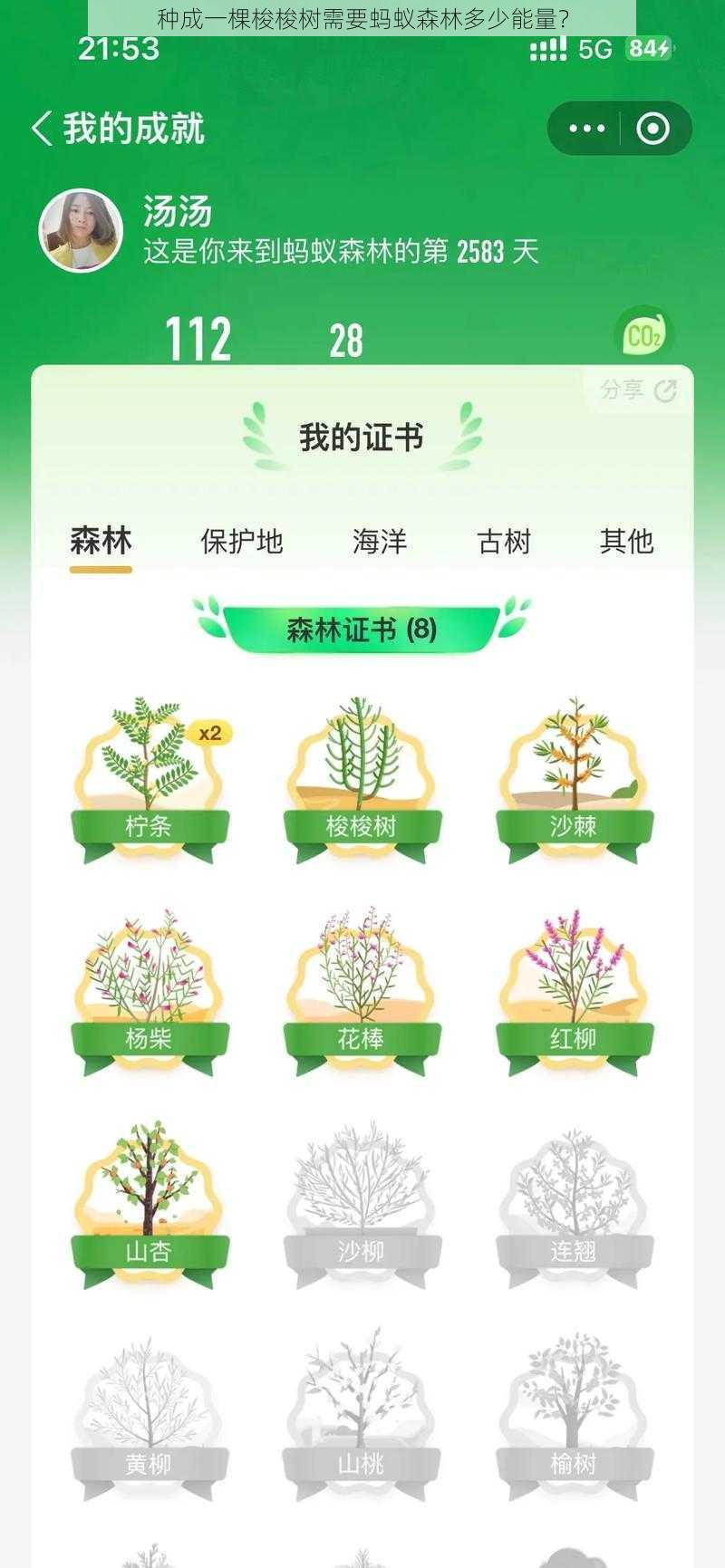 种成一棵梭梭树需要蚂蚁森林多少能量？