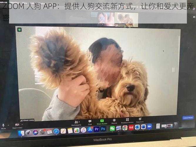 ZOOM 人狗 APP：提供人狗交流新方式，让你和爱犬更亲密