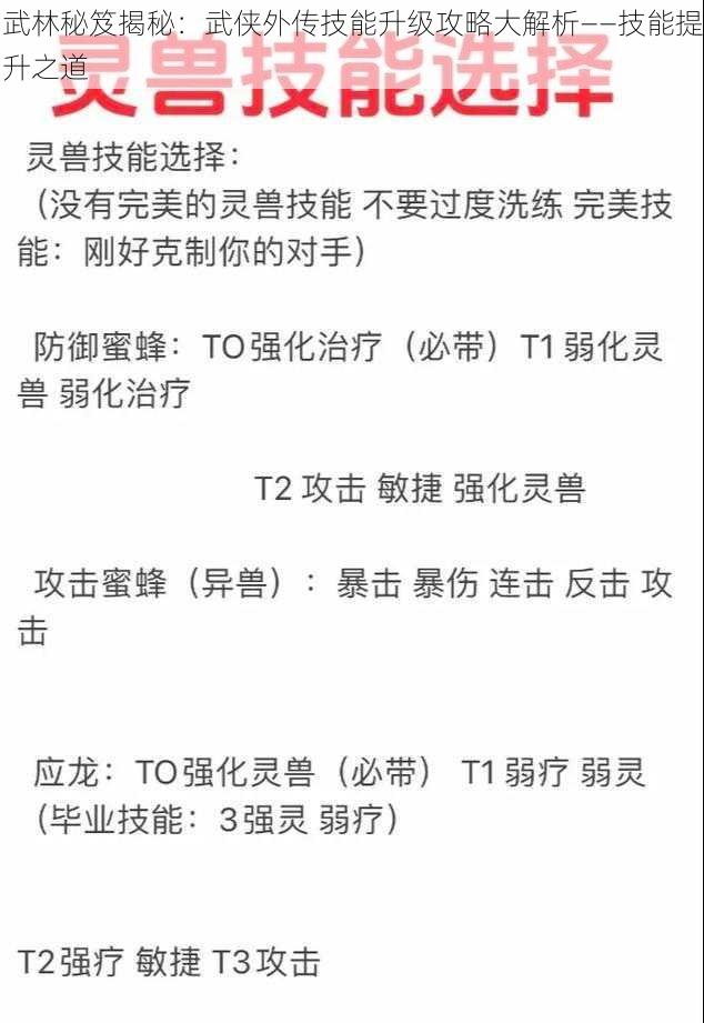 武林秘笈揭秘：武侠外传技能升级攻略大解析——技能提升之道