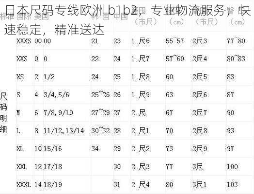 日本尺码专线欧洲 b1b2，专业物流服务，快速稳定，精准送达