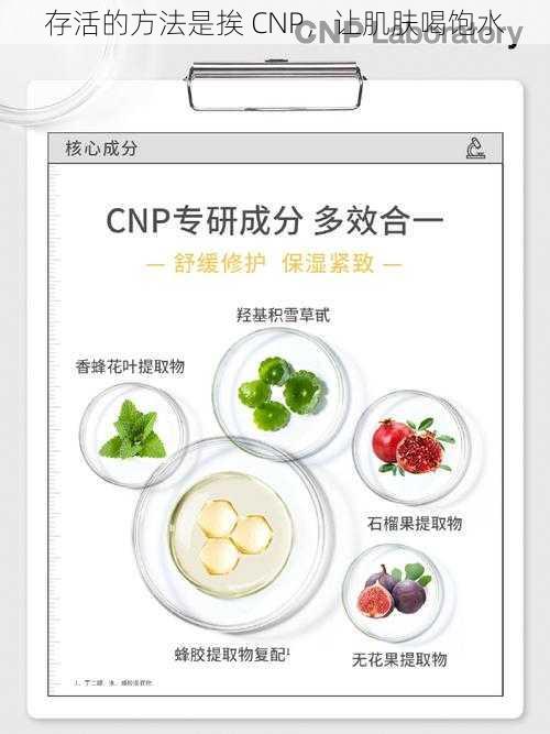 存活的方法是挨 CNP，让肌肤喝饱水