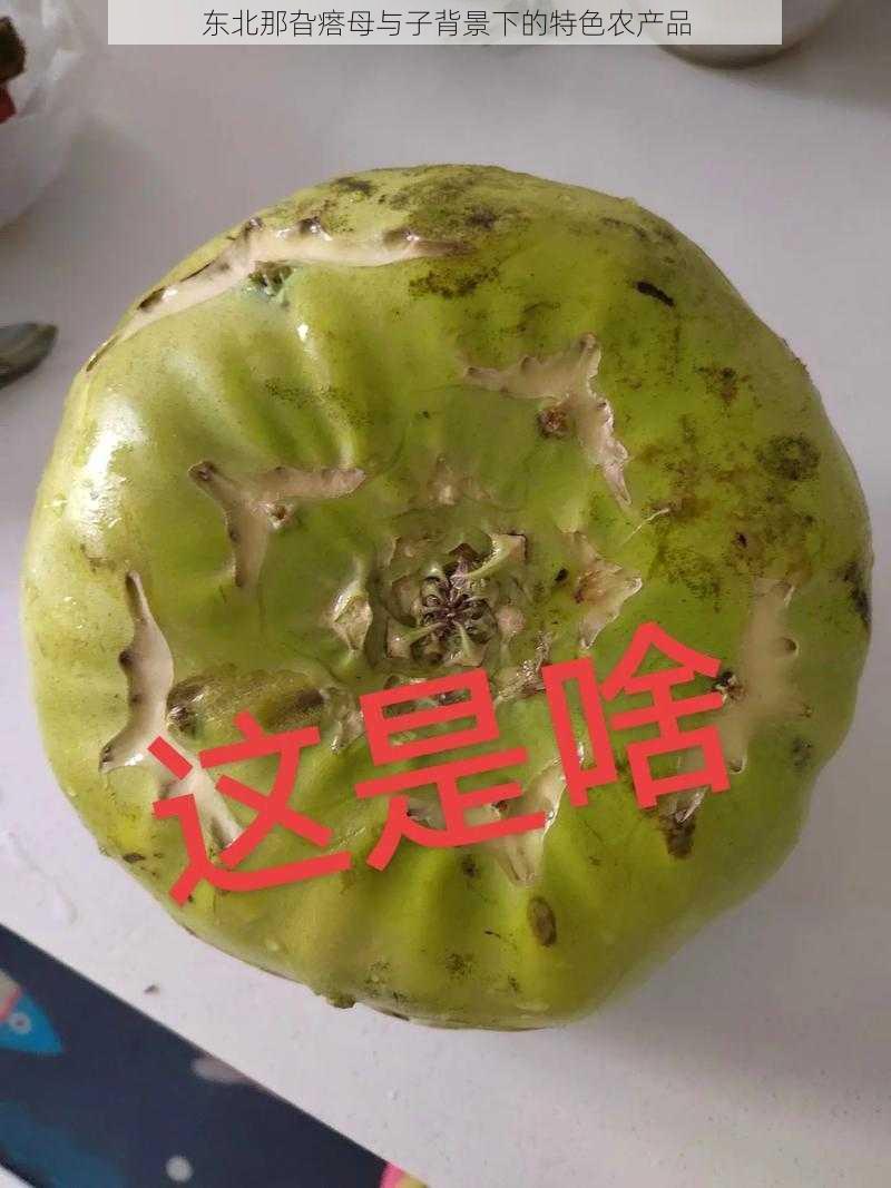 东北那旮瘩母与子背景下的特色农产品